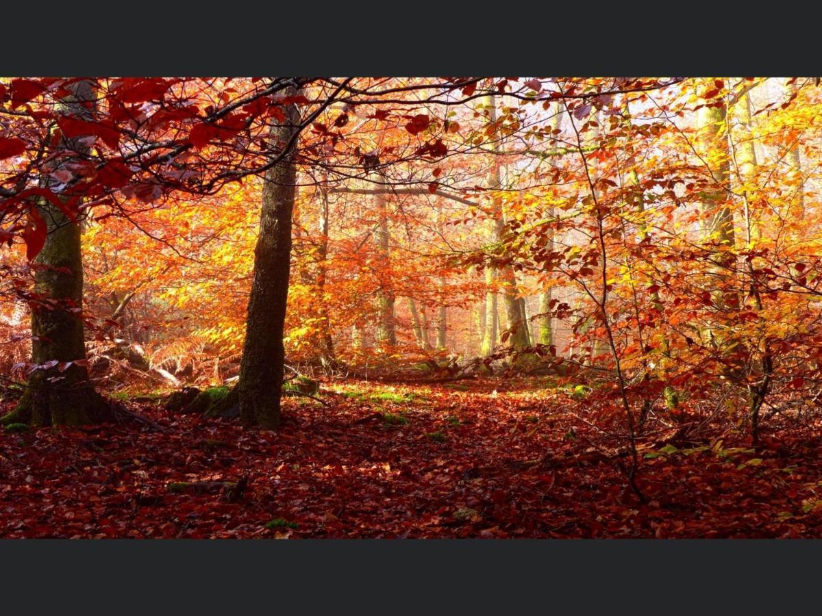Enjoy Durbuy 4 Daire Dış mekan fotoğraf
